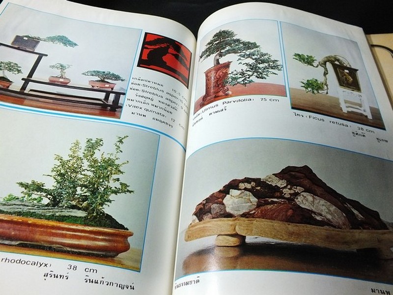 บอนไซ 01 02 03 รวม 3 เล่ม โดยชมรมบอนไซ(ไม้เเคระ) เเห่งประเทศไทย //สอบถาม//