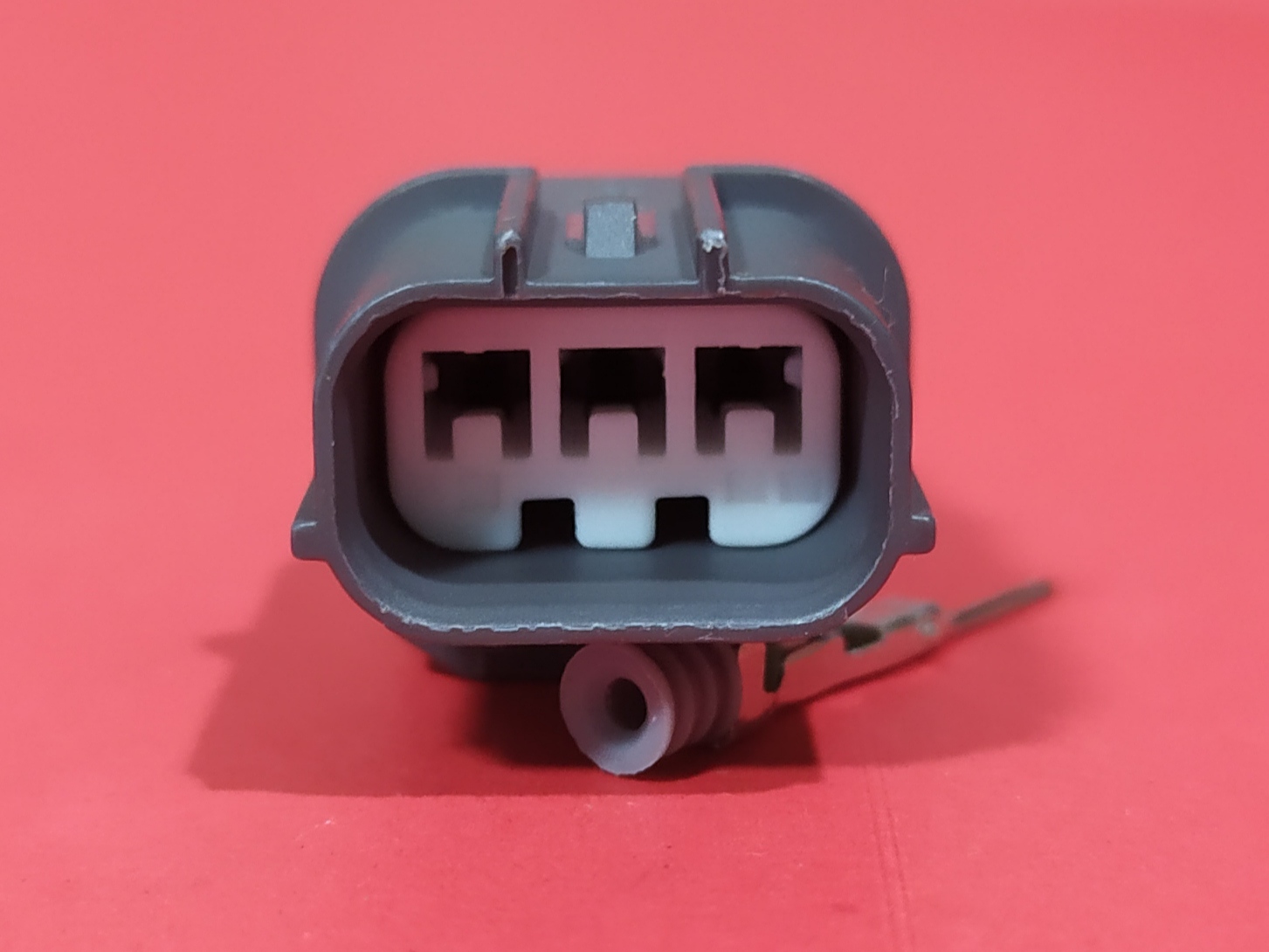 3 พิน ดำ/เทา (บ่าล่าง) ตัวผู้ #1833