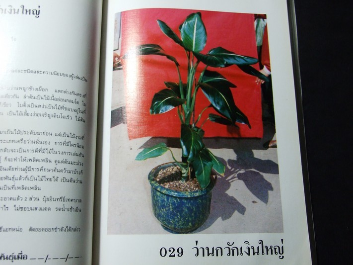 คัมภีร์ว่าน และไม้มงคล โดย สนั่น ทวีสมบัติ ปกแข็ง 212 หน้า พิมพ์ปี 2524