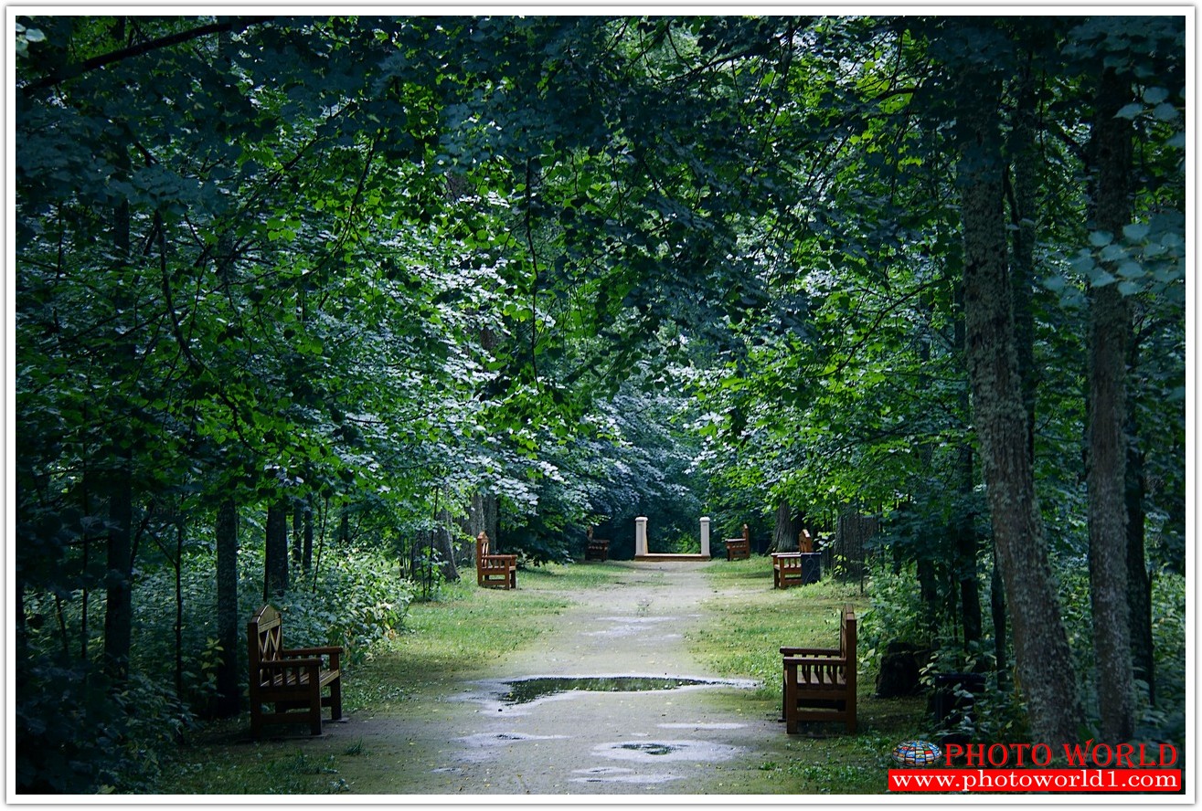 NATURAL วอลเปเปอร์รูปภาพติดผนังสั่งทำ มีภาพให้เลือกกว่า 50,000 ภาพ ออกแบบกราฟฟิค หรือ รูปภาพตามที่ท่านกำหนด ในสไตล์ท่านเอง "custom made"