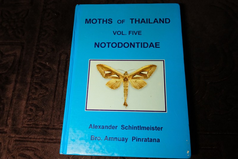 moths of thailand vol 5 notodontidae by alexander schintlmeister and amnuay pinratana