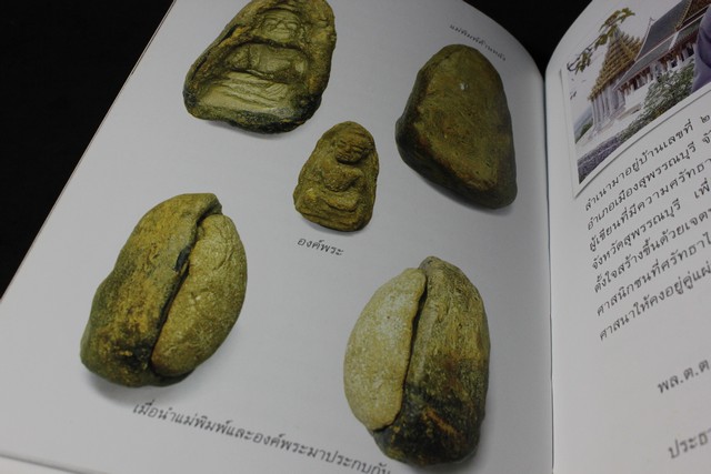 ศาสตร์เเละศิลป์ โบราณคดี ของ พระถ้ำเสือ เเละ พระถ้ำเสือกรุวัดเขาดีสลัก รวม 2 เล่ม เเละ VCD