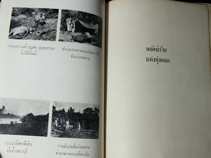 ป่าเเละปืน โดย ชาลี เอี่ยมกระสินธุ์ ปกแข็ง พิมพ์ครั้งเเรก ปี 2516