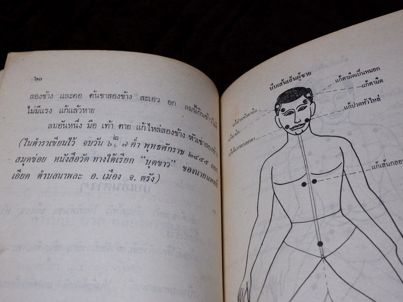 ตำรายาเเผนโบราณ รวบรวมโดย เบญจมาศ พลอินทร์ จัดพิมพ์เป็นอนุสรณ์คุณพ่อเเถม ใยมณี ปี 2524