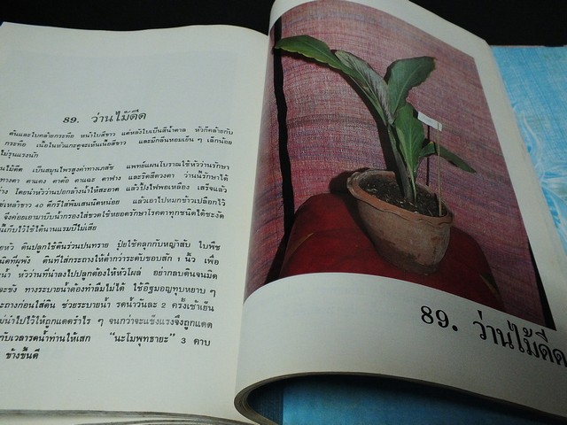 ชุมนุมว่านยาเเละไม้มงคล โดย บัว ปากช่อง ปกแข็ง 250 หน้า ปี 2524