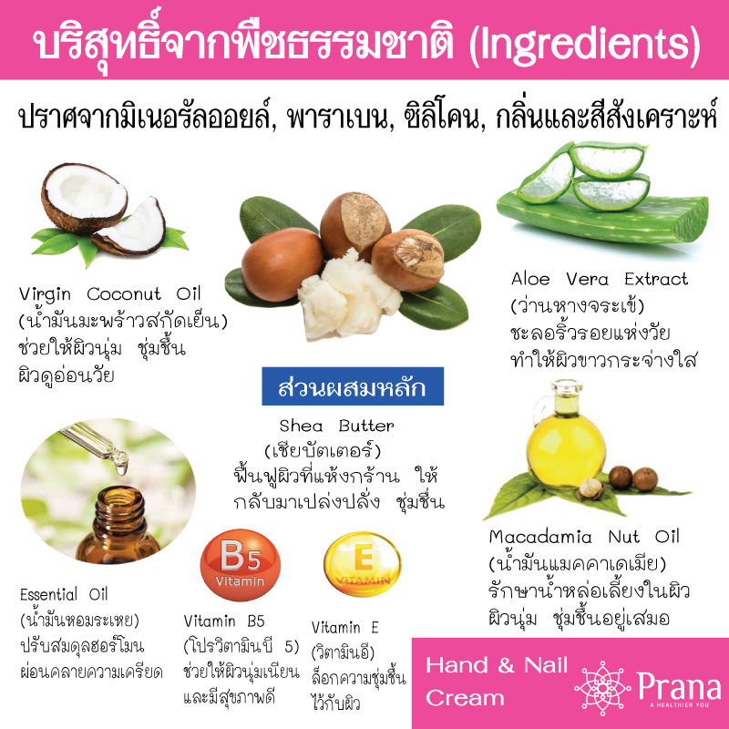 [ทับทิม และมะม่วง] Hand & Nail Cream เซตครีมบำรุงมือและเล็บ Aroma Of Thai Fruit (2 ชิ้นx40กรัม)