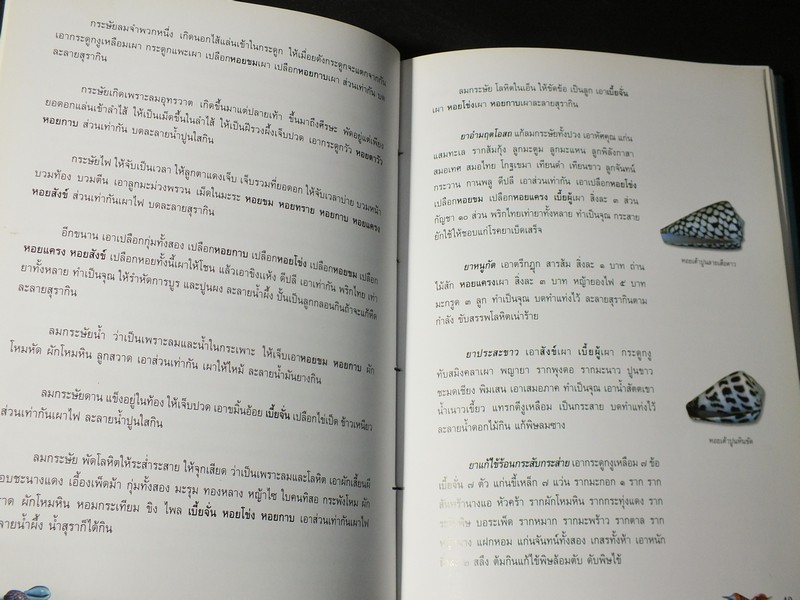 หอยเป็นยา ตามตำรับยาการเเพทย์เเผนไทย โดย เเพทย์หญิงเพ็ญนภา ทรัพย์เจริญ ปกแข็ง ปี 2545