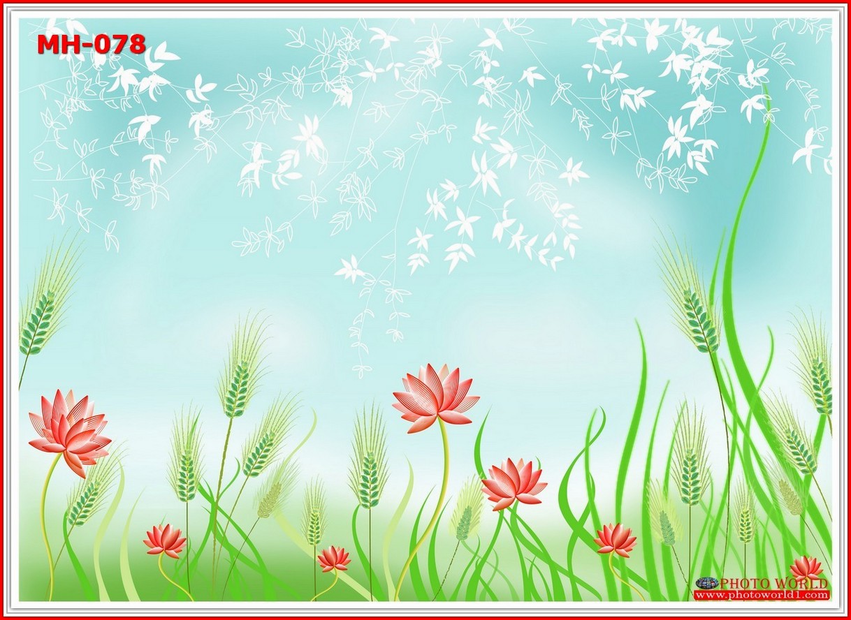 วอลเปเปอร์รูปภาพติดผนังสั่งทำ มีภาพให้เลือกกว่า 50,000 ภาพ ออกแบบกราฟฟิค หรือ รูปภาพตามที่ท่านกำหนด ในสไตล์ท่านเอง "custom made"