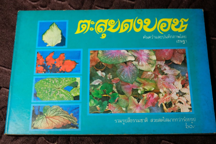 ตะลุยดงบอน โดย เชษฐา ปี 2524 (ราคารวมส่ง)
