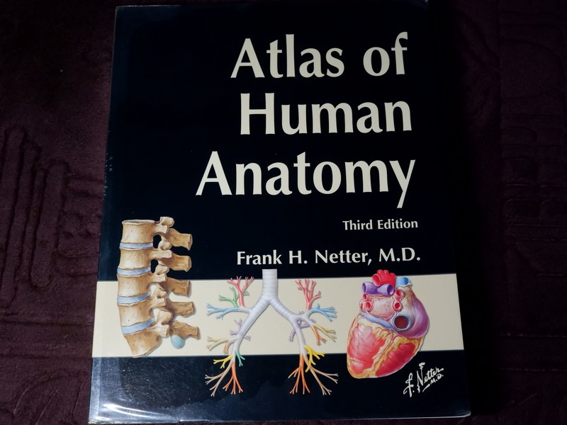 Atlas of Human Anatomyของ Frank H. Netter, MD