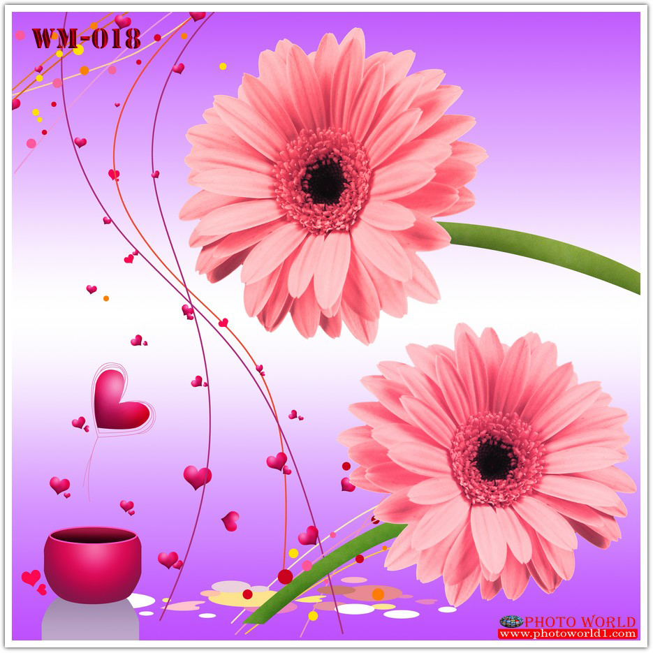 วอลเปเปอร์รูปภาพติดผนังสั่งทำ มีภาพให้เลือกกว่า 50,000 ภาพ ออกแบบกราฟฟิค หรือ รูปภาพตามที่ท่านกำหนด ในสไตล์ท่านเอง "custom made"