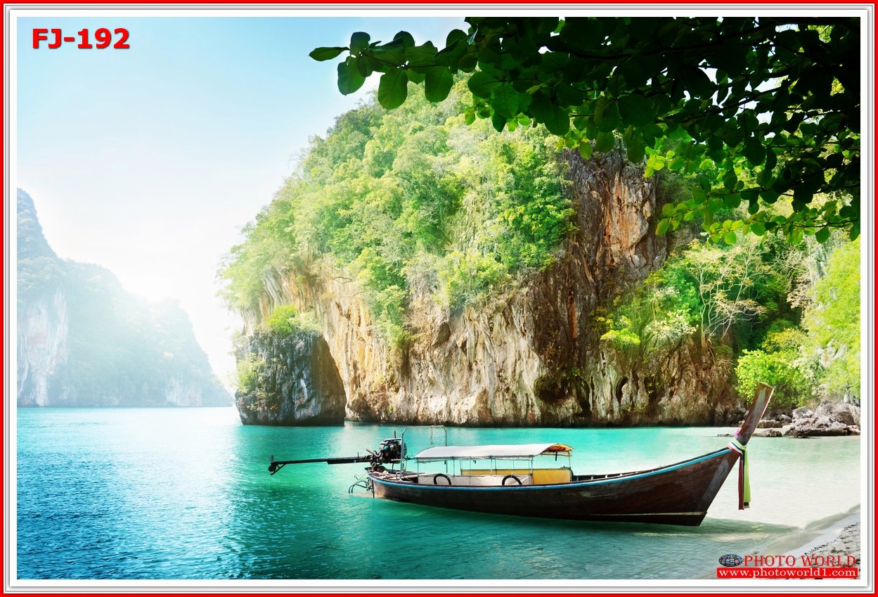 วอลเปเปอร์รูปภาพติดผนังสั่งทำ มีภาพให้เลือกกว่า 50,000 ภาพ ออกแบบกราฟฟิค หรือ รูปภาพตามที่ท่านกำหนด ในสไตล์ท่านเอง "custom made"