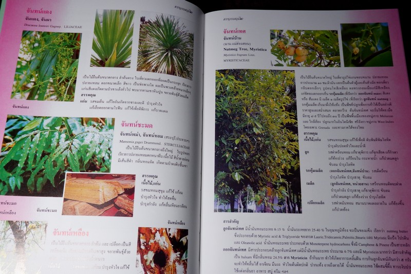 สารานุกรมสมุนไพร รวมหลักเภสัชกรรมไทย โดย วุฒิ วุฒิธรรมเวช ปกแข็ง พิมพ์ 1000 เล่ม ปี 2540