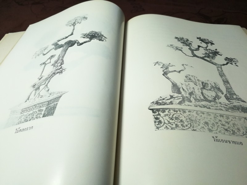 ตำราไม้ดัด เเละ ก่อเขามอ (อนุสรณ์ พระยาปริมาณสินสมรรถ จีบ โชติศาลิกร) ((สอบถาม))