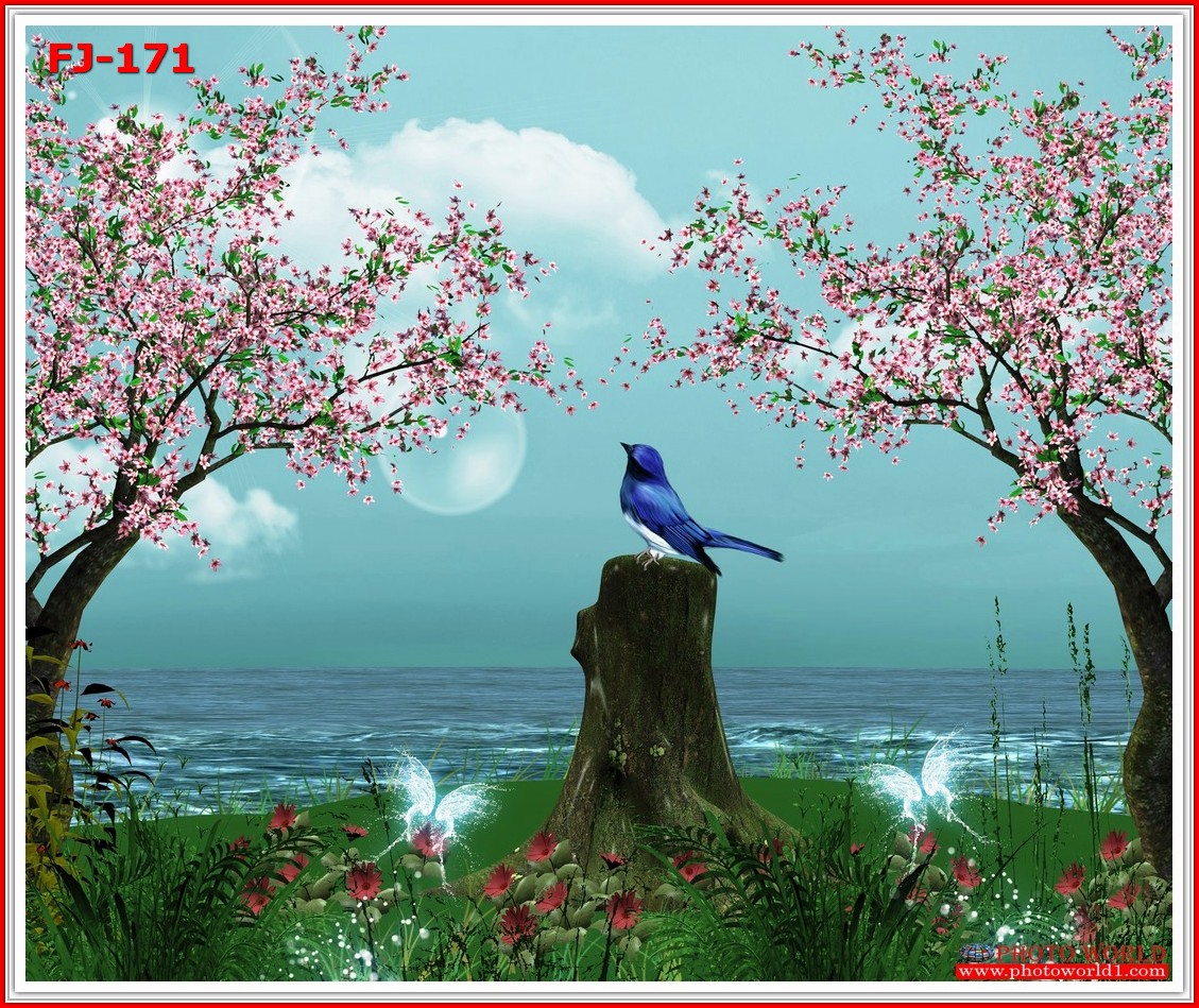 วอลเปเปอร์รูปภาพติดผนังสั่งทำ มีภาพให้เลือกกว่า 50,000 ภาพ ออกแบบกราฟฟิค หรือ รูปภาพตามที่ท่านกำหนด ในสไตล์ท่านเอง "custom made"