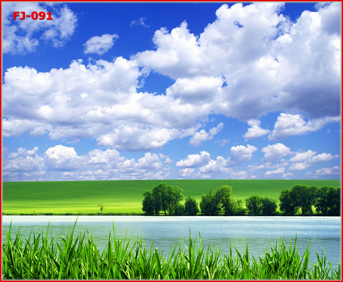 วอลเปเปอร์รูปภาพติดผนังสั่งทำ มีภาพให้เลือกกว่า 50,000 ภาพ ออกแบบกราฟฟิค หรือ รูปภาพตามที่ท่านกำหนด ในสไตล์ท่านเอง "custom made"