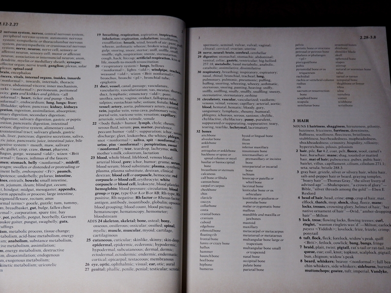 the original roget's roget's international thesaurus fifth edition by robert l.chapman