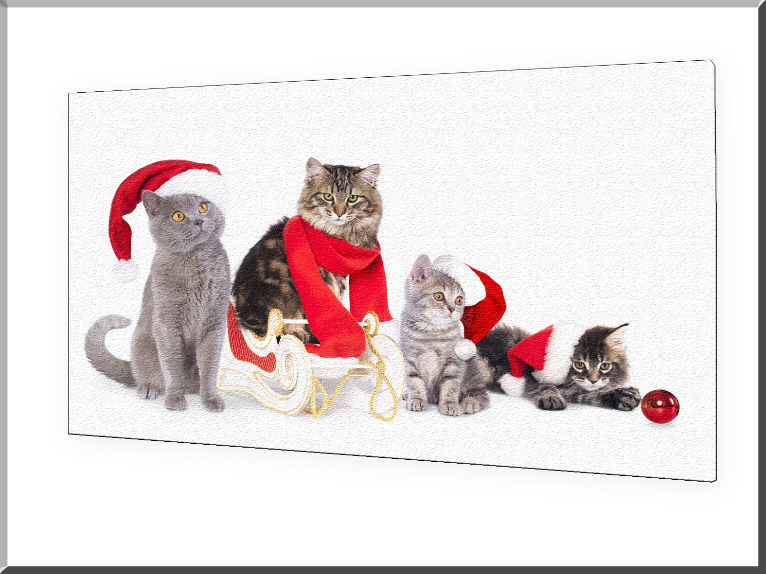 สั่งทำวอลเปเปอร์ รูปภาพติดผนัง มีภาพให้เลือกกว่า 50,000 ภาพ ออกแบบกราฟฟิค หรือ รูปภาพตามที่ท่านกำหนด ในสไตล์ท่านเอง "custom made" SIZE;M 1SET,KITTY.2