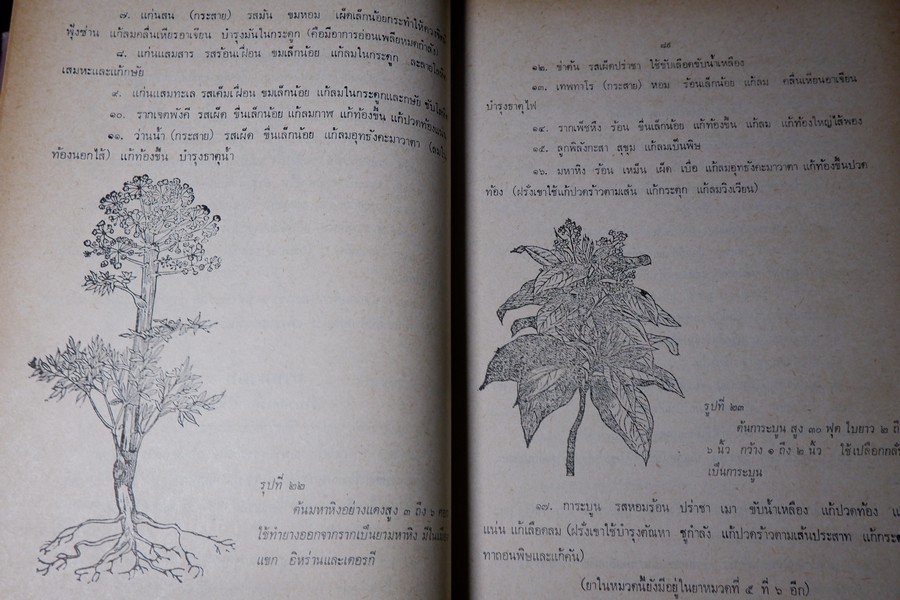 ตำรายา จัดพิมพ์โดย อภิชิโต ภิกขุ ,ชาตรี โสภณพานิช , สว่าง เลาหทัย ปกเเข็ง 786 หน้า ปี 2523