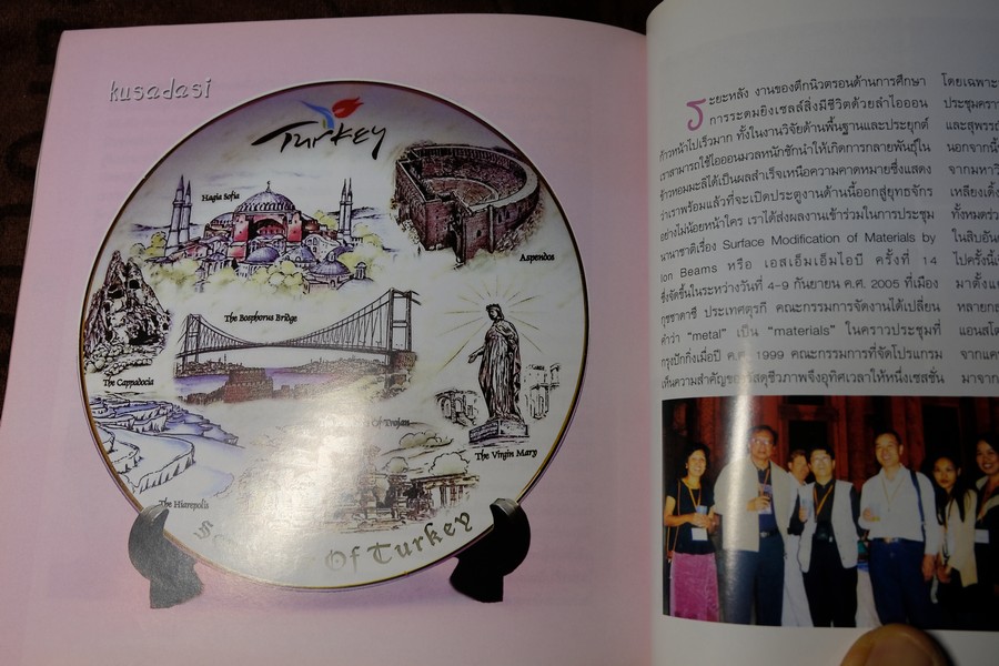 มองผ่านจาน โดย ศ.ดร. ถิรวัฒน์ วิลัยทอง หนา 252 หน้า ปี 2550