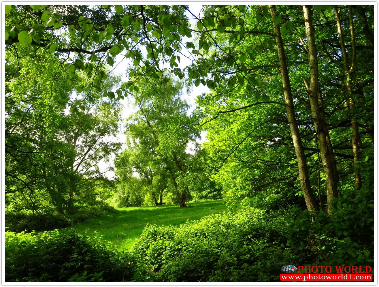 NATURAL วอลเปเปอร์รูปภาพติดผนังสั่งทำ มีภาพให้เลือกกว่า 50,000 ภาพ ออกแบบกราฟฟิค หรือ รูปภาพตามที่ท่านกำหนด ในสไตล์ท่านเอง "custom made"