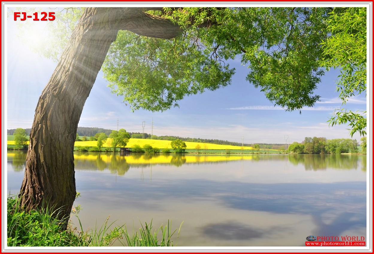 วอลเปเปอร์รูปภาพติดผนังสั่งทำ มีภาพให้เลือกกว่า 50,000 ภาพ ออกแบบกราฟฟิค หรือ รูปภาพตามที่ท่านกำหนด ในสไตล์ท่านเอง "custom made"