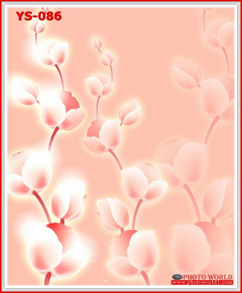 วอลเปเปอร์รูปภาพติดผนังสั่งทำ มีภาพให้เลือกกว่า 50,000 ภาพ ออกแบบกราฟฟิค หรือ รูปภาพตามที่ท่านกำหนด ในสไตล์ท่านเอง "custom made"