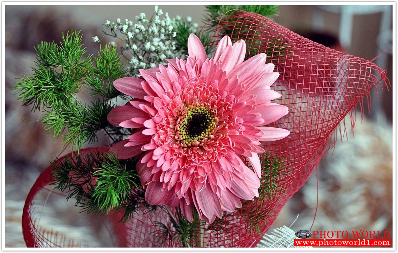 วอลเปเปอร์รูปภาพติดผนังสั่งทำ มีภาพให้เลือกกว่า 50,000 ภาพ ออกแบบกราฟฟิค หรือ รูปภาพตามที่ท่านกำหนด ในสไตล์ท่านเอง "custom made"