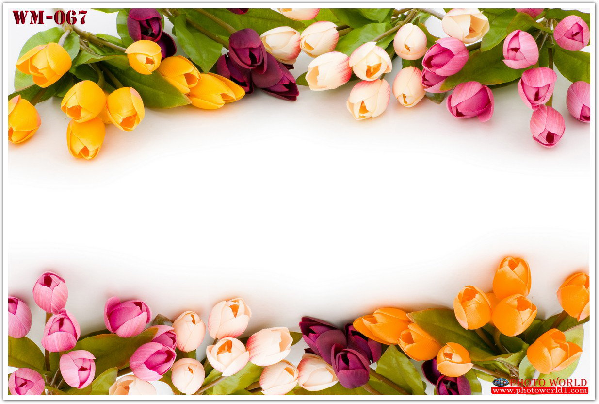 วอลเปเปอร์รูปภาพติดผนังสั่งทำ มีภาพให้เลือกกว่า 50,000 ภาพ ออกแบบกราฟฟิค หรือ รูปภาพตามที่ท่านกำหนด ในสไตล์ท่านเอง "custom made"