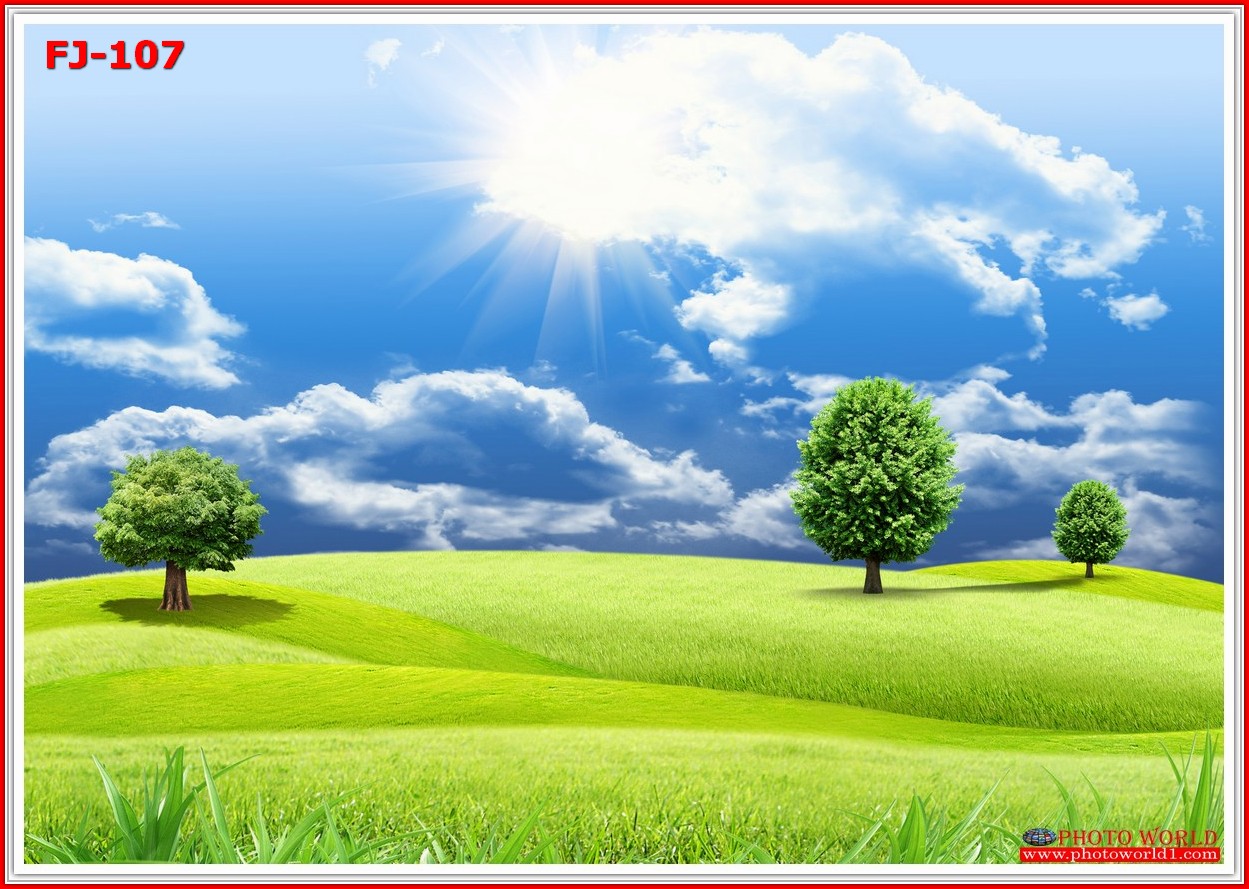 วอลเปเปอร์รูปภาพติดผนังสั่งทำ มีภาพให้เลือกกว่า 50,000 ภาพ ออกแบบกราฟฟิค หรือ รูปภาพตามที่ท่านกำหนด ในสไตล์ท่านเอง "custom made"