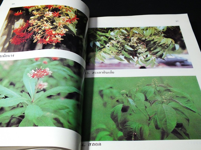 คู่มือการใช้สมุนไพร โดย ศ.พเยาว์ เหมือนวงษืญาติ หนา 298 หน้า ปี 2532