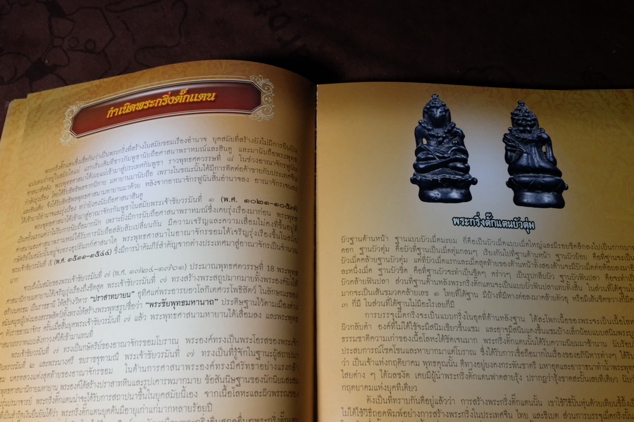 สารานุกรมพระ ปกรณ์พิเศษ ไภษัชยคุรุคุณาลังการ ปกเเข็ง 300 หน้า