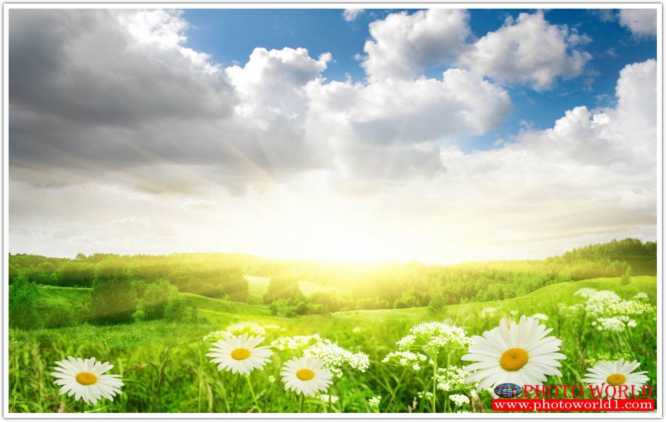 วอลเปเปอร์รูปภาพติดผนังสั่งทำ มีภาพให้เลือกกว่า 50,000 ภาพ ออกแบบกราฟฟิค หรือ รูปภาพตามที่ท่านกำหนด ในสไตล์ท่านเอง "custom made"