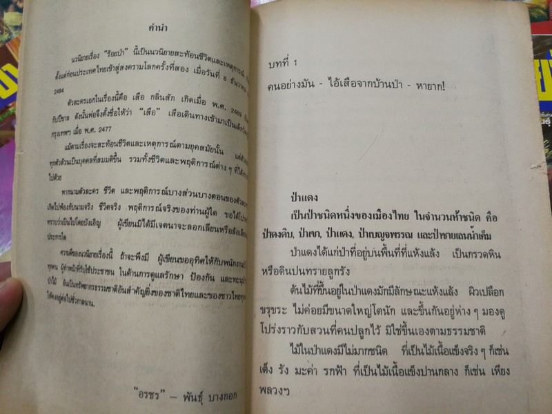 ร้อยป่า โดย อรชร -พันธุ์บางกอก 40 เล่ม (ขาดเล่มที่ 13) ปี 2525 สภาพดี