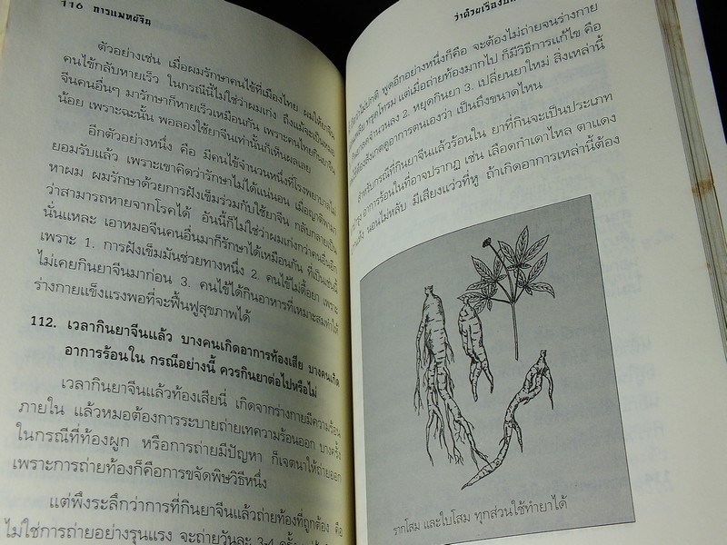 การเเพทย์จีน โดย ศ.นายเเพทย์ หลี่ กั๊วะ โต้ง หนา 173 หน้า