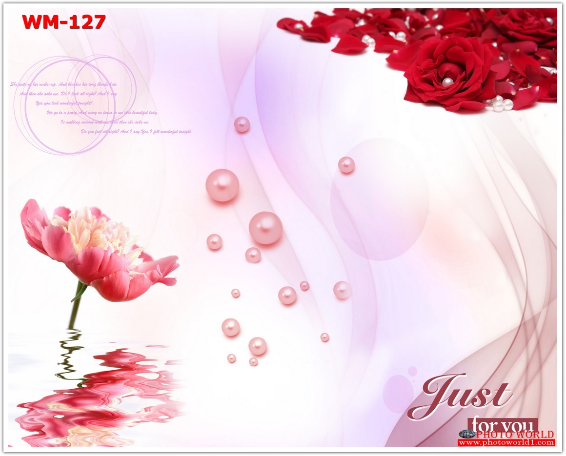 วอลเปเปอร์รูปภาพติดผนังสั่งทำ มีภาพให้เลือกกว่า 50,000 ภาพ ออกแบบกราฟฟิค หรือ รูปภาพตามที่ท่านกำหนด ในสไตล์ท่านเอง "custom made"