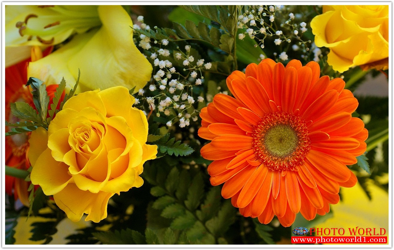 วอลเปเปอร์รูปภาพติดผนังสั่งทำ มีภาพให้เลือกกว่า 50,000 ภาพ ออกแบบกราฟฟิค หรือ รูปภาพตามที่ท่านกำหนด ในสไตล์ท่านเอง "custom made"