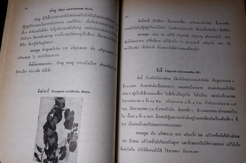 ตำราสรรพคุณ สมุนไพร ยาไทยเเผนโบราณ โดย สายสนม กิตติขจร ปี 2526 (สอบถาม)