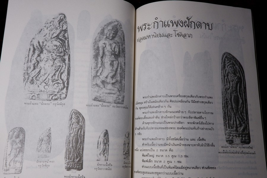 ยอดพระเครื่อง ฉบับ พระดีเหรียญดัง สกุลอยุธยา กำเเพงเพชร เพชรบูรณ์ พิษณุโลก รวม 5 เล่ม