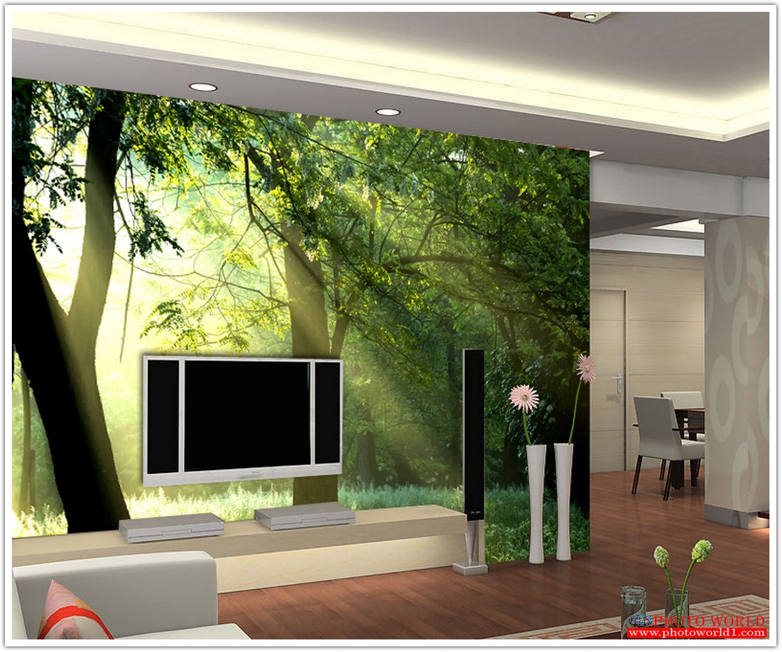 วอลเปเปอร์รูปภาพติดผนังสั่งทำ มีภาพให้เลือกกว่า 50,000 ภาพ ออกแบบกราฟฟิค หรือ รูปภาพตามที่ท่านกำหนด ในสไตล์ท่านเอง "custom made"