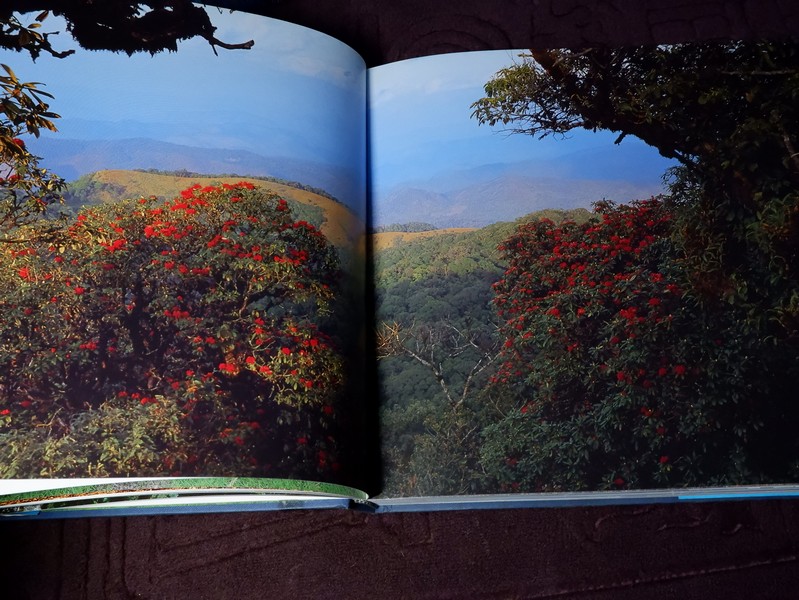 สมเด็จพระนางเจ้าสิริกิติ์ พระบรมราชินีนาถกับสิ่งเเวดล้อม