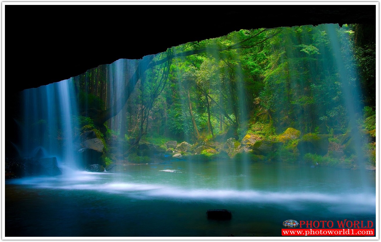 NATURAL วอลเปเปอร์รูปภาพติดผนังสั่งทำ มีภาพให้เลือกกว่า 50,000 ภาพ ออกแบบกราฟฟิค หรือ รูปภาพตามที่ท่านกำหนด ในสไตล์ท่านเอง "custom made"