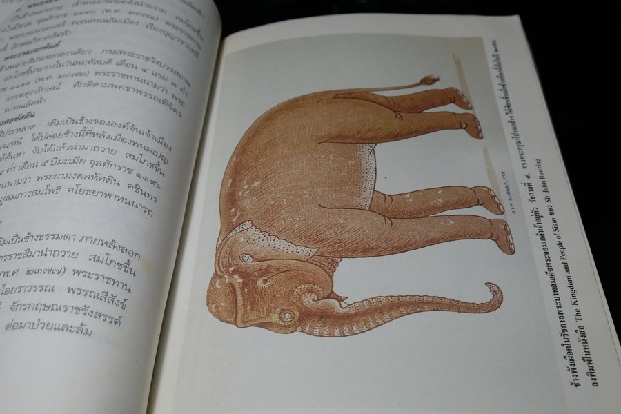 ช้างไทย โดย สุทธิลักษณ์ อำพันวงศ์ หนา 400 หน้า ปี 2537 (มีตำหนิ)