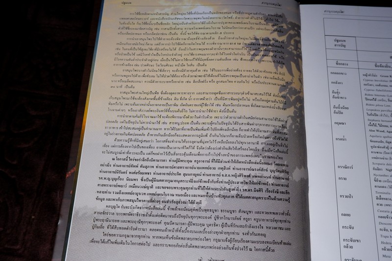 สารานุกรมสมุนไพร รวมหลักเภสัชกรรมไทย โดย วุฒิ วุฒิธรรมเวช ปกแข็ง พิมพ์ 1000 เล่ม ปี 2540