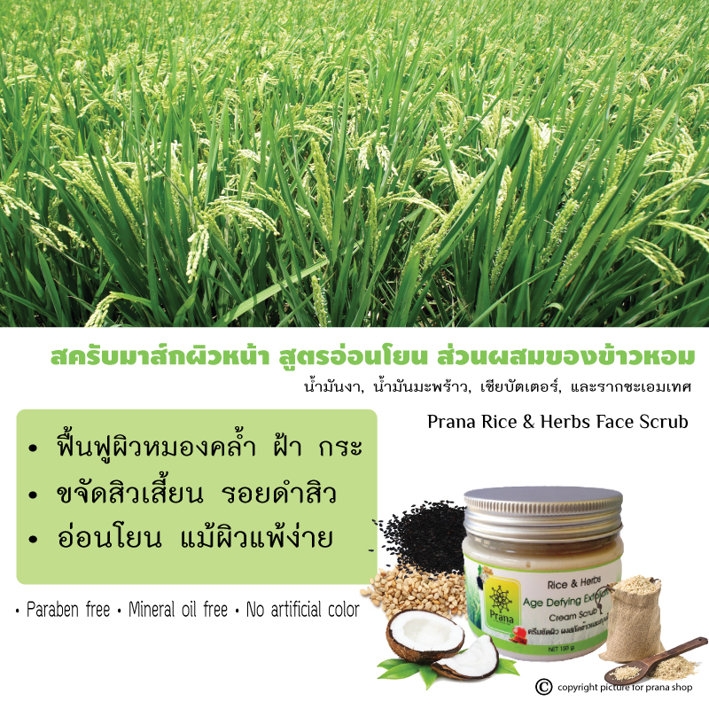 [สิว ฝ้า กระ รอยดำ] Prana Nature Care เซตเจลล้างหน้า สครับมาส์ก โทนเนอร์-เอสเซนส์/น้ำตบ (3ชิ้น)