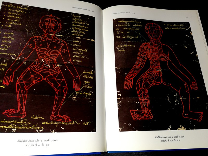 ตำราเวชศาสตร์ฉบับหลวง รัชกาลที่ 5 เล่ม 1-2 ปกแข็ง หนารวม 916 หน้า พิมพ์ปี 2542