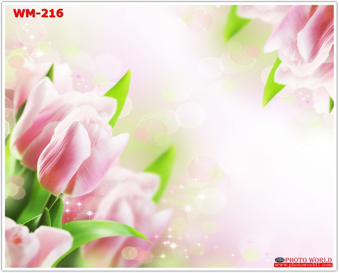 วอลเปเปอร์รูปภาพติดผนังสั่งทำ มีภาพให้เลือกกว่า 50,000 ภาพ ออกแบบกราฟฟิค หรือ รูปภาพตามที่ท่านกำหนด ในสไตล์ท่านเอง "custom made"