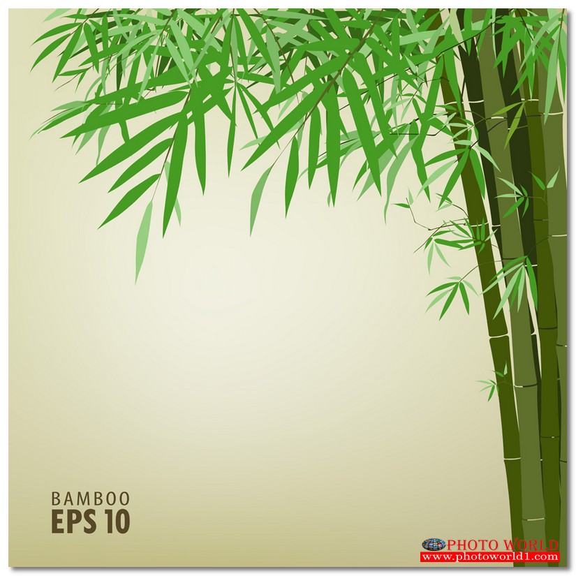 สั่งทำวอลเปเปอร์ รูปภาพติดผนัง มีภาพให้เลือกกว่า 50,000 ภาพ ออกแบบกราฟฟิค หรือ รูปภาพตามที่ท่านกำหนด ในสไตล์ท่านเอง "custom made"