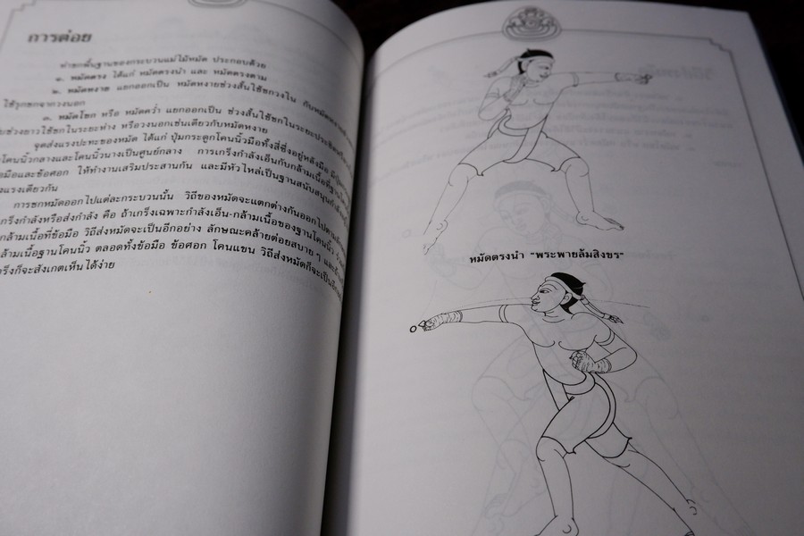 ศิลปะเเห่งมวยไทย( muay thai )โดย นายขยะ หนา 149 หน้า ปี 2537