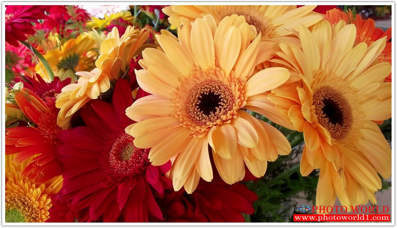 วอลเปเปอร์รูปภาพติดผนังสั่งทำ มีภาพให้เลือกกว่า 50,000 ภาพ ออกแบบกราฟฟิค หรือ รูปภาพตามที่ท่านกำหนด ในสไตล์ท่านเอง "custom made"